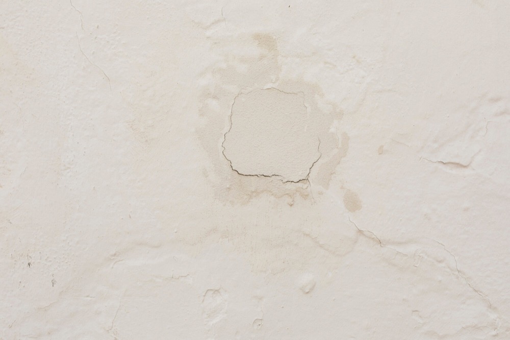 Preventing Moisture Damage to Drywall in Spartanburg Homes